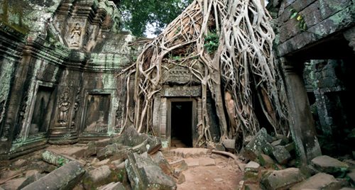 Ta Phrom temple in Angkor